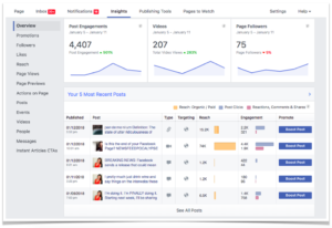 Facebook Insights Screenshot